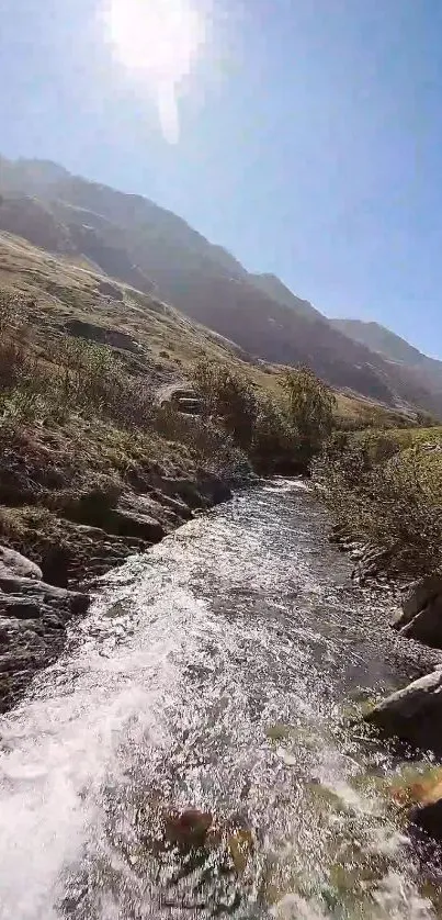 Serene mountain stream with sunlit blue sky and flowing water.