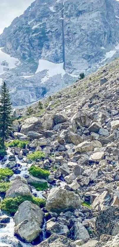 Mountain stream and rocky landscape with snowy peaks.