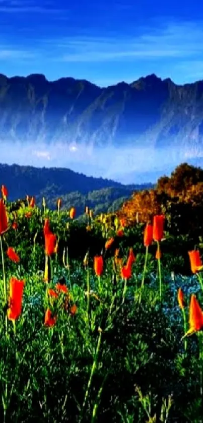 Vibrant mountain sunrise with wildflowers and clear blue sky.