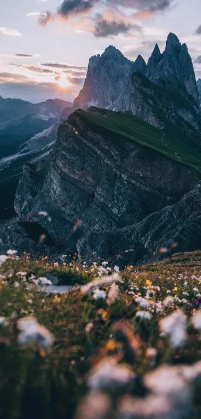 Beautiful mountain peaks at sunrise with wildflowers in the foreground.