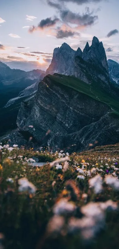 Mountain peaks at sunrise with wildflowers in the foreground, creating a serene view.