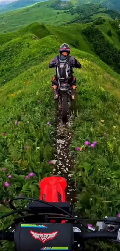 Motorbikes riding on lush green mountain trail.
