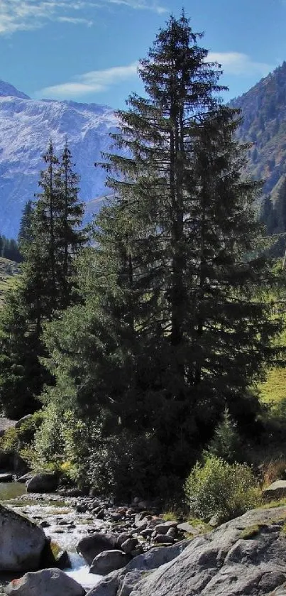 Serene mountain valley with pine trees and a river in a picturesque setting.