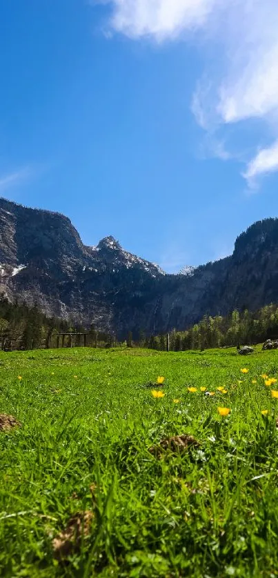 Vivid mountain valley under a bright blue sky with green meadows and wildflowers.