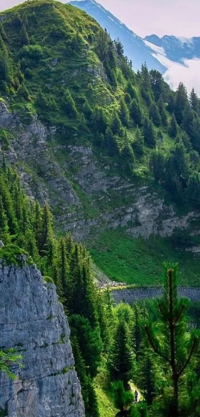 Scenic mountain landscape with lush green forest and clear sky.