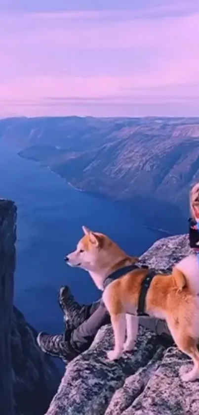 Dog on a cliff with stunning mountain views, perfect for nature lovers.