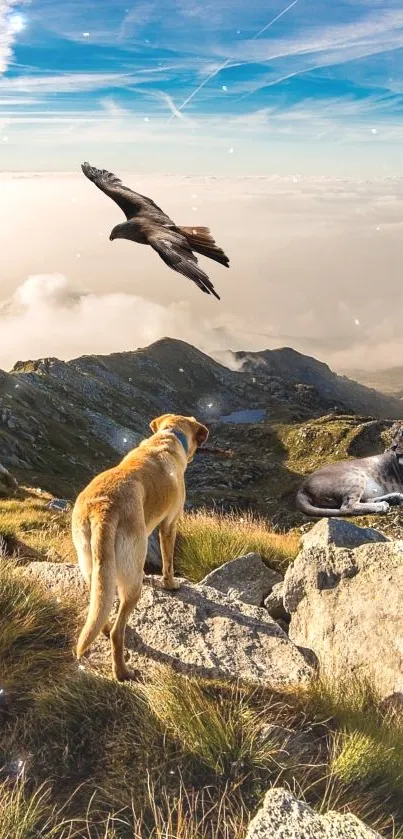 Dog standing on mountain with scenic view.