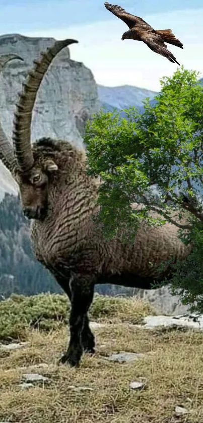 Wild mountain goat with large horns in a scenic natural landscape.