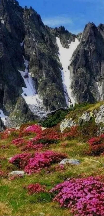 Vibrant mountain landscape with pink blossoms and a clear blue sky.