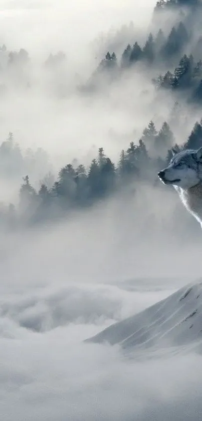 Wolf standing in snowy, misty forest landscape.