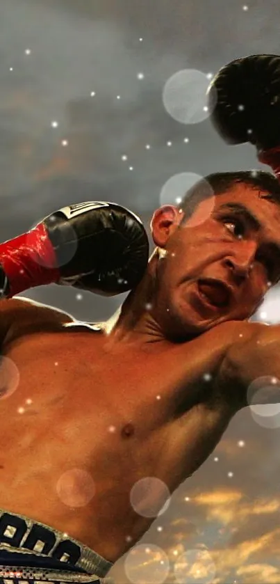 boxers  Live Wallpaper