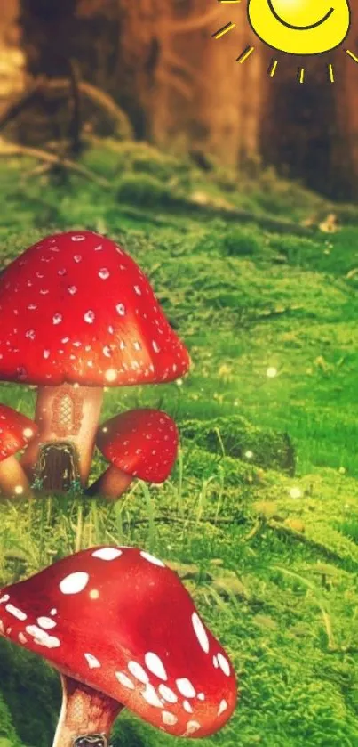 Vibrant red mushrooms in a sunlit forest with lush green moss.