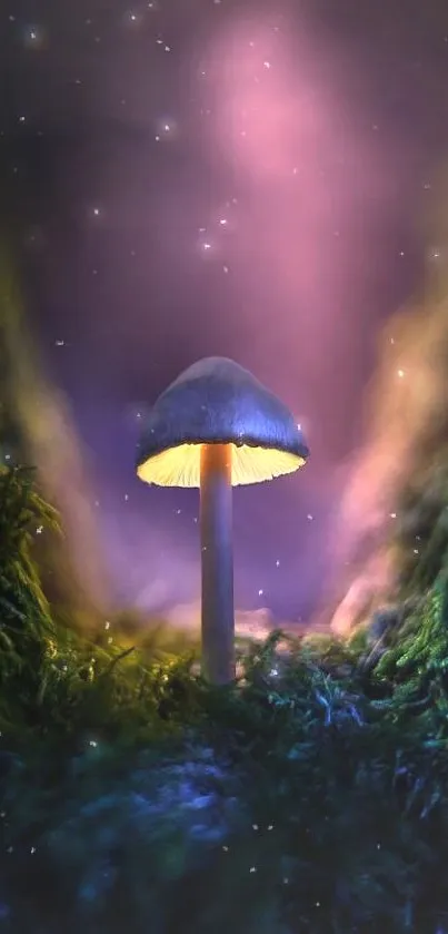 A mystical glowing mushroom in a dark, enchanted forest setting.