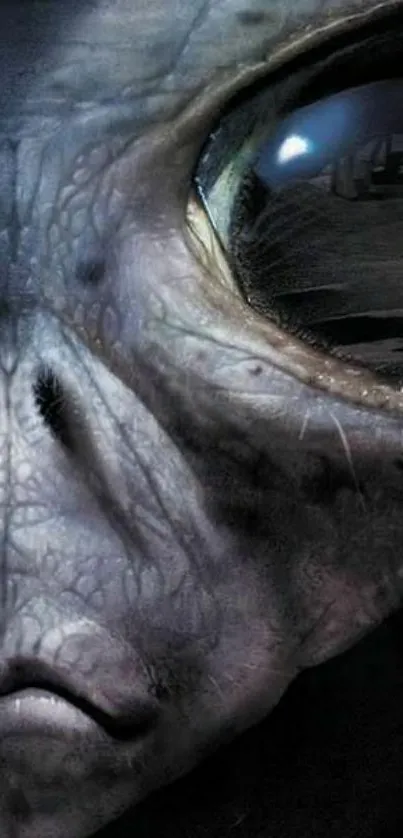 Close-up of a mysterious alien face with a cosmic, textured design.