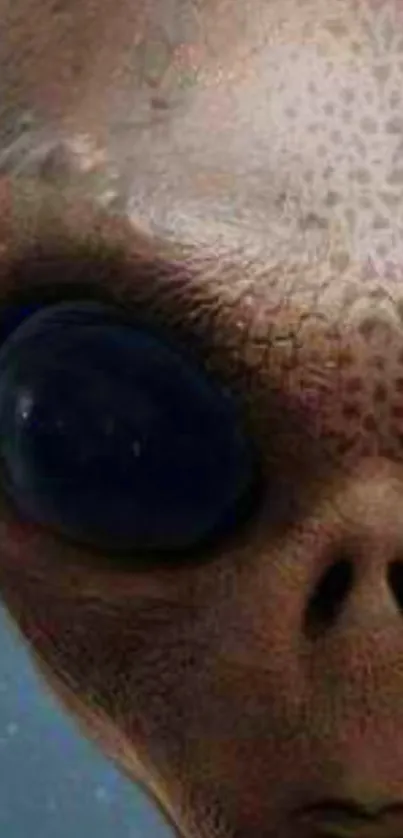 Close-up of alien face, detailed and mysterious.