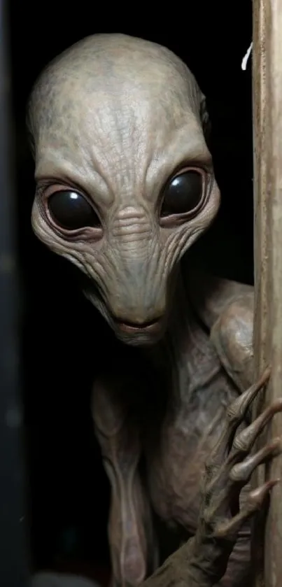 Alien creature peeking through door.
