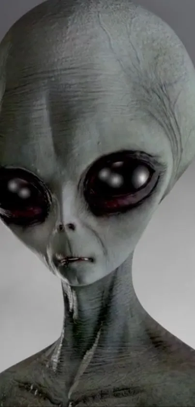 Gray alien wallpaper with big eyes and detailed skin texture.