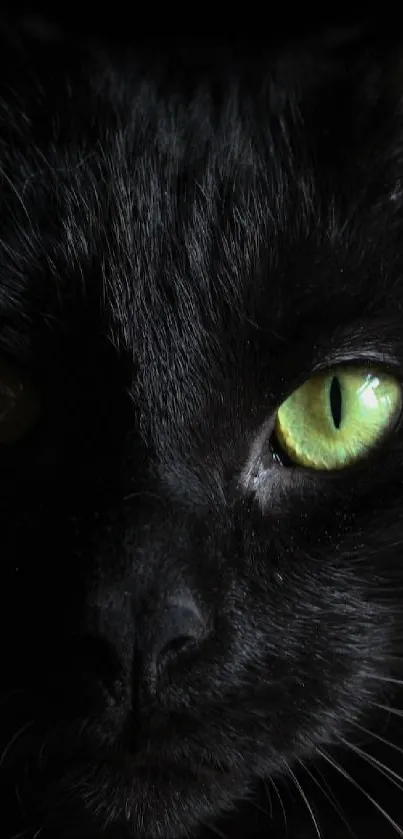 Close-up of a black cat with bright green eyes in a dark setting.