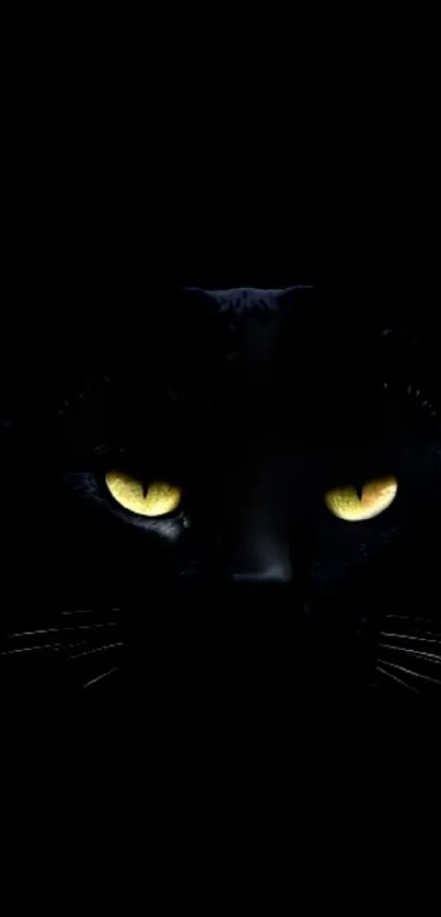 Mysterious black cat wallpaper with glowing yellow eyes.