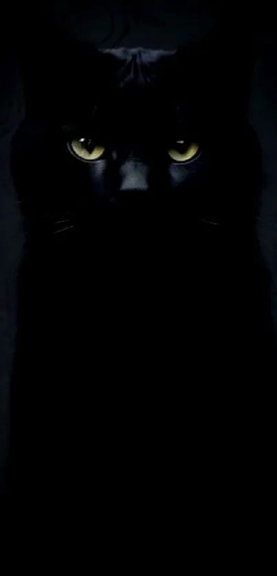 Black cat with yellow eyes on a dark background wallpaper.