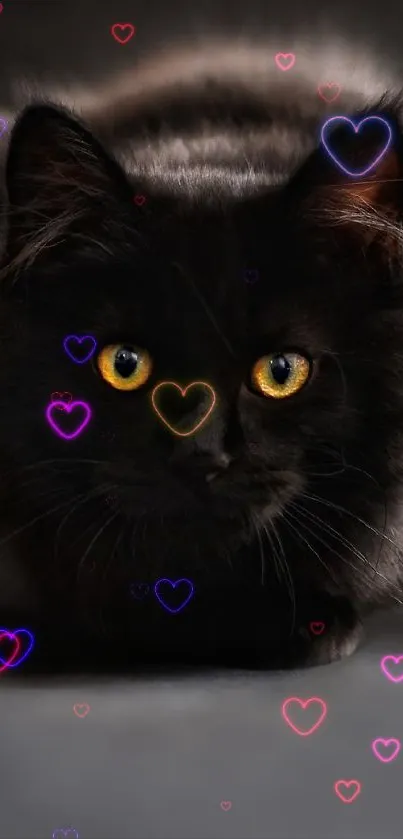 Black cat with bright yellow eyes against a dark background.