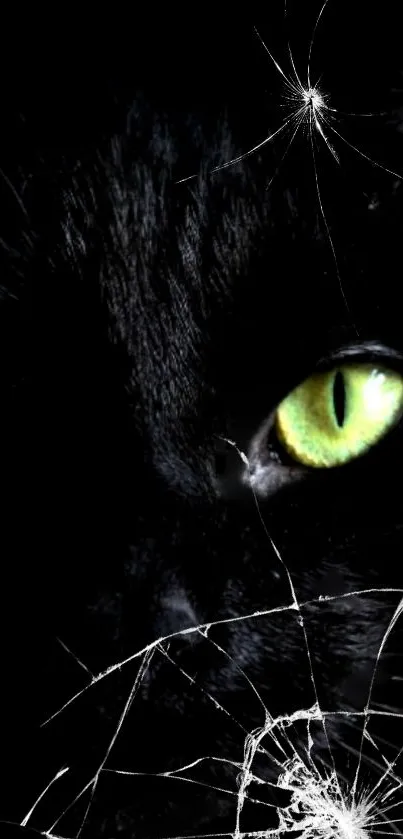 Black cat with green eyes and cracked glass effect on phone wallpaper.