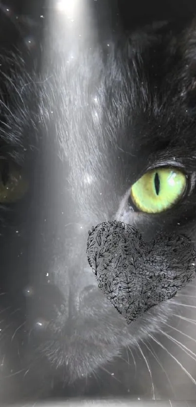 Black cat with green eyes in spotlight wallpaper.