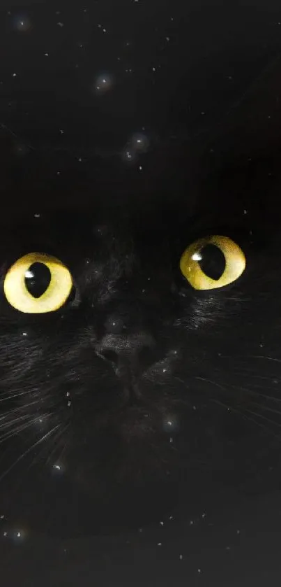 Black cat with striking yellow eyes on a dark background wallpaper.