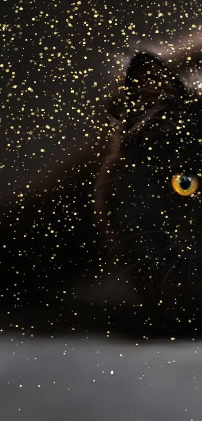 Black cat with yellow eyes on a dark mobile wallpaper background.