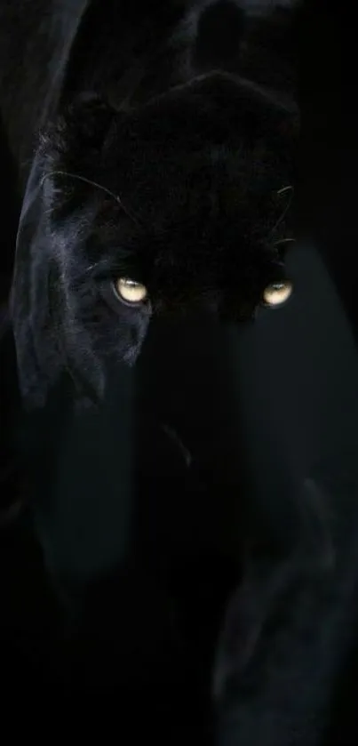 Mysterious black panther with piercing eyes on a dark background.