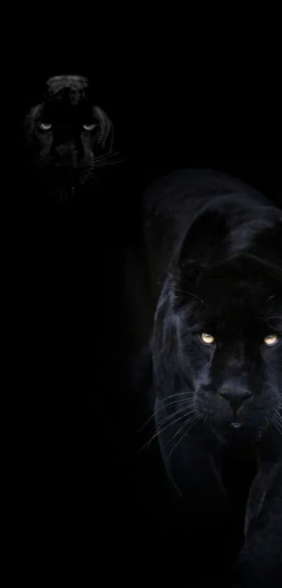 Black panther wallpaper with glowing eyes.