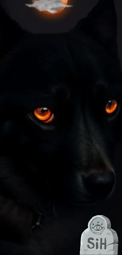 Black wolf with glowing orange eyes on a dark background.