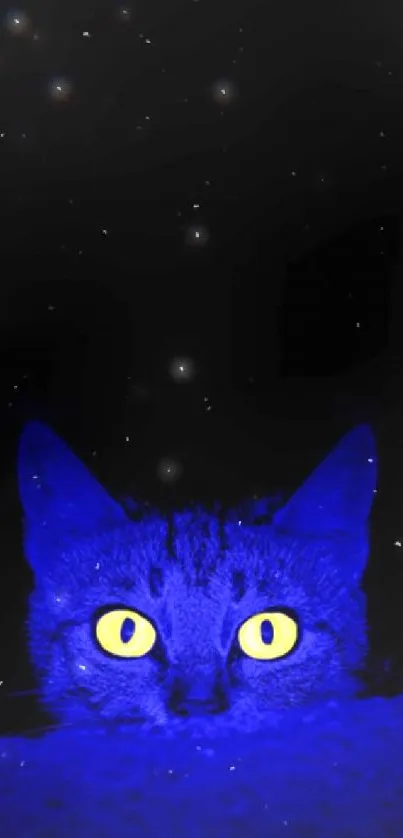 Cat with glowing yellow eyes on a blue and black background.