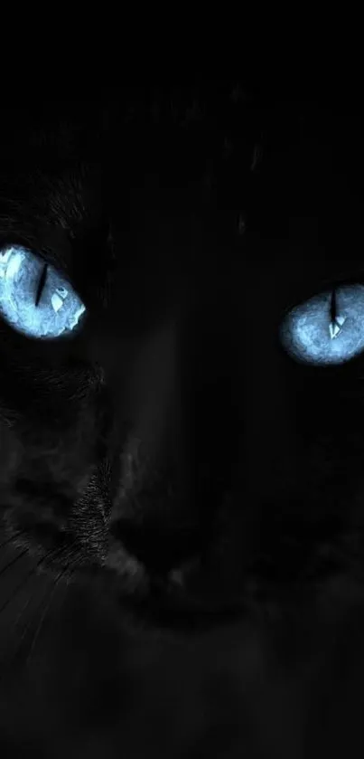 Mysterious black cat with bright blue eyes on a dark background.