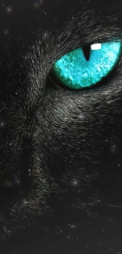 Close-up of cat's teal eye against a dark background for mobile wallpaper.