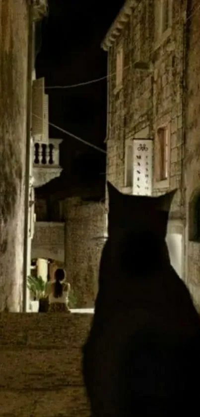 Silhouette of a cat in a dark, rustic alleyway at night.