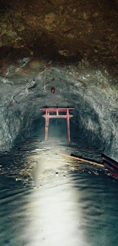 Mysterious cave with a red Torii gate and ambient light reflections.