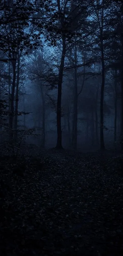 Dark forest in deep blue tones, mysterious night atmosphere.