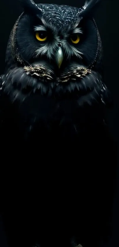 Majestic black owl with piercing eyes in a dark-themed wallpaper.