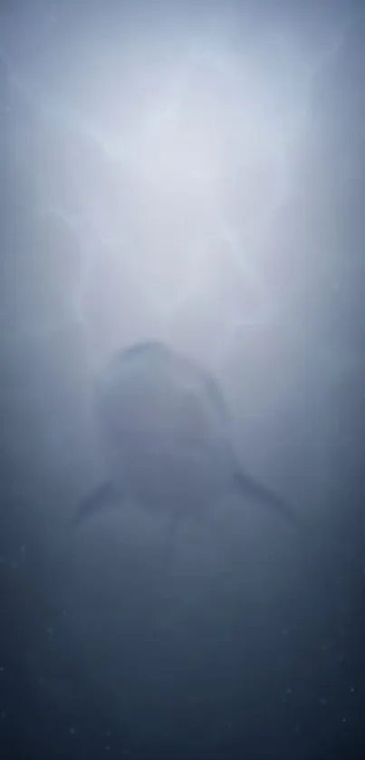 Blurred silhouette of a shark in ocean depths with a greyish blue hue.