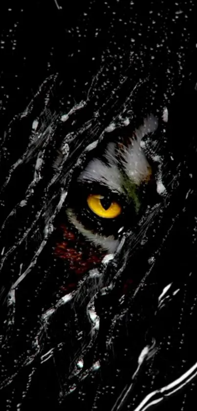 Dark wallpaper with a mysterious yellow eye peering through the shadows.