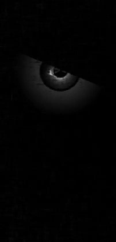 Mysterious eye in the dark mobile wallpaper