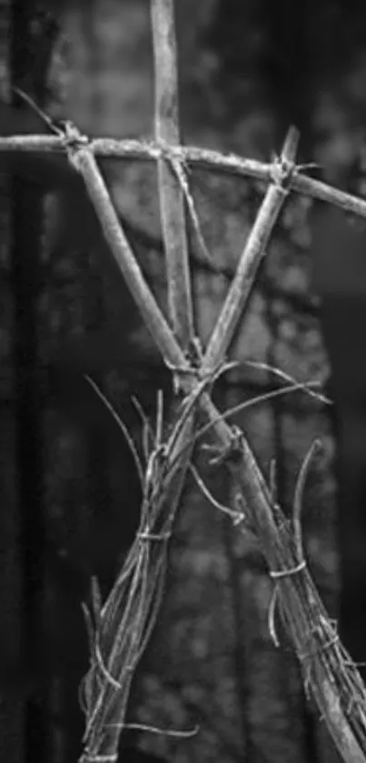 Monochrome wooden structure with blurred forest background.