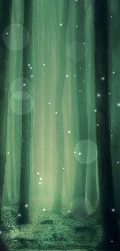 Mysterious green light filters through tall forest trees, creating a tranquil atmosphere.