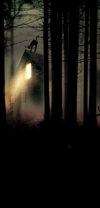 Spooky forest with eerie glowing light in a haunted setting.