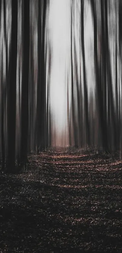 Eerie forest path with tall, dark blurred trees in a mysterious setting.