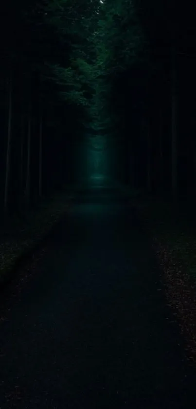 A mysterious dark green forest path leading into the distance, surrounded by tall trees.