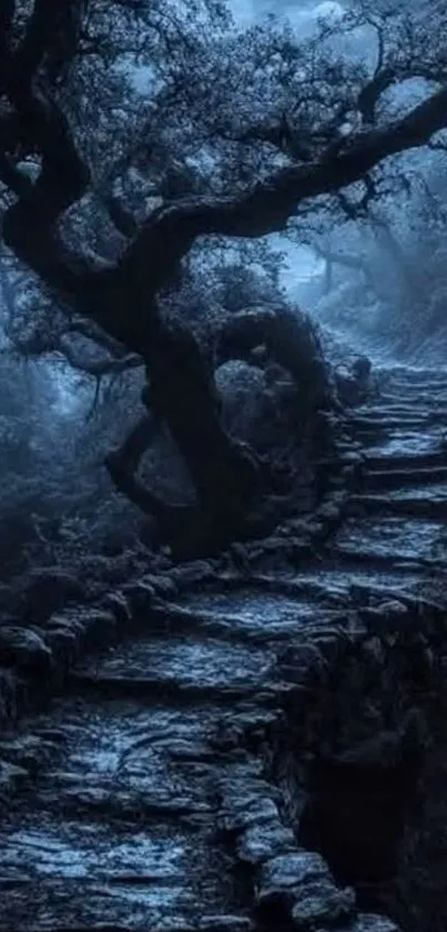 Stone path through a dark, mysterious forest scene.