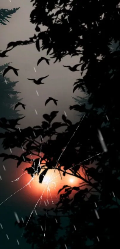 Mysterious dark forest with sunset and birds in mobile wallpaper.