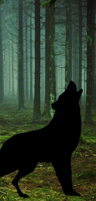 Dark wolf silhouette in a mysterious forest scene on mobile wallpaper.